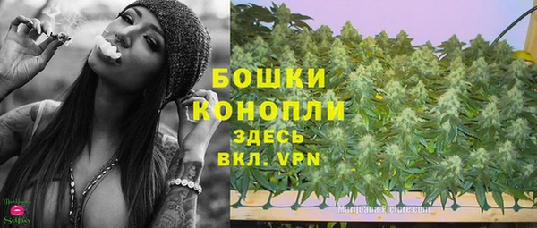 тгк Богданович