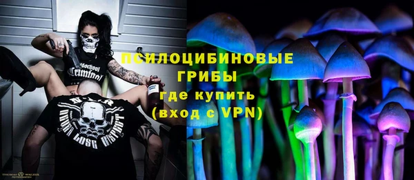 таблы Богородск