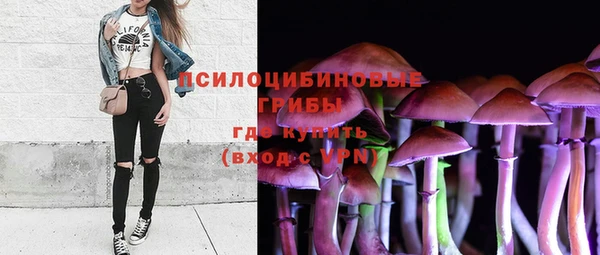 таблы Богородск