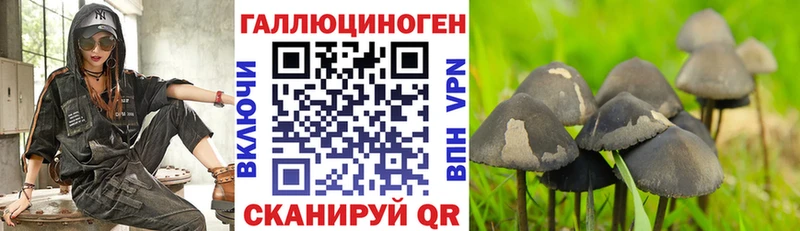 Псилоцибиновые грибы Psilocybine cubensis  Кинешма 